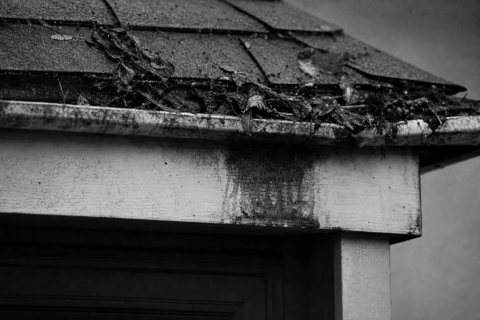 A roof gutter packed with wet leaves and roof grit at the eave, with a dark stain running down the painted fascia below it
