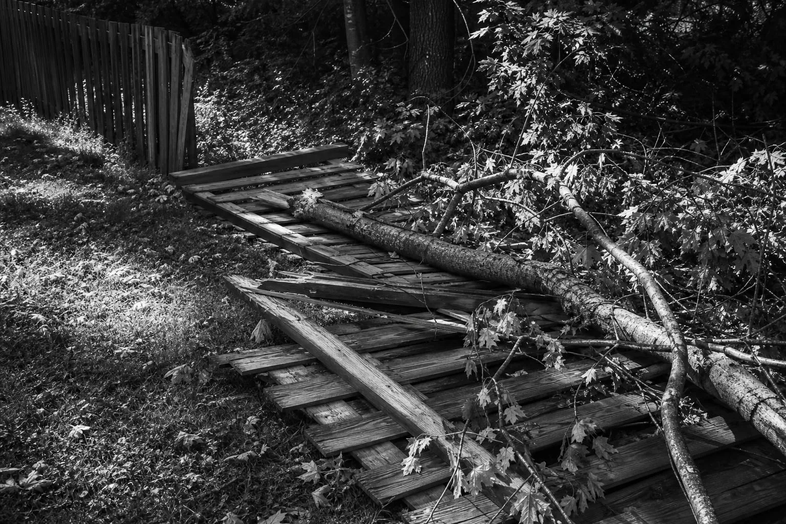 A section of wooden fence knocked flat in a yard with a fallen tree limb lying across the broken rails