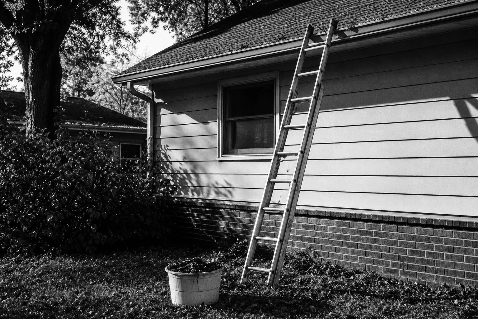 An extension ladder standing against a house eave with a bucket of wet leaf debris on the grass below it